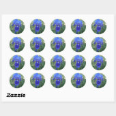 Blauwe iris 5 ronde sticker (Vel)
