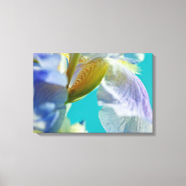 Blauwe iris, blauwe hemel canvas afdruk