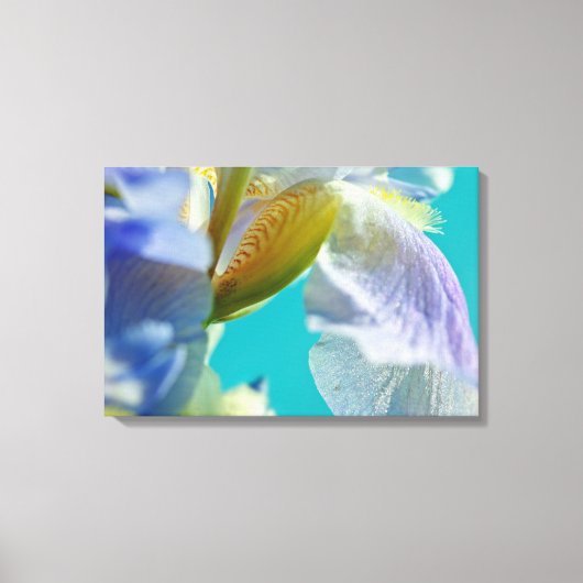 Blauwe iris, blauwe hemel canvas afdruk (Voorkant)