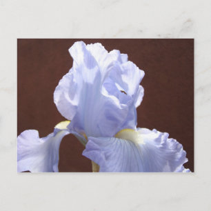 Blauwe Iris Bloem ansichtkaarten Irissen Bloemen V Briefkaart