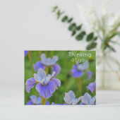 Blauwe Iris Bloem Denk aan jou Briefkaart (Staand voorkant)