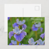 Blauwe Iris Bloem Denk aan jou Briefkaart (Voorkant / Achterkant)
