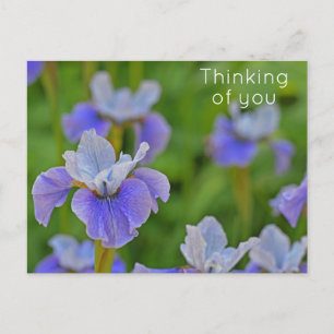 Blauwe Iris Bloem Denk aan jou Briefkaart