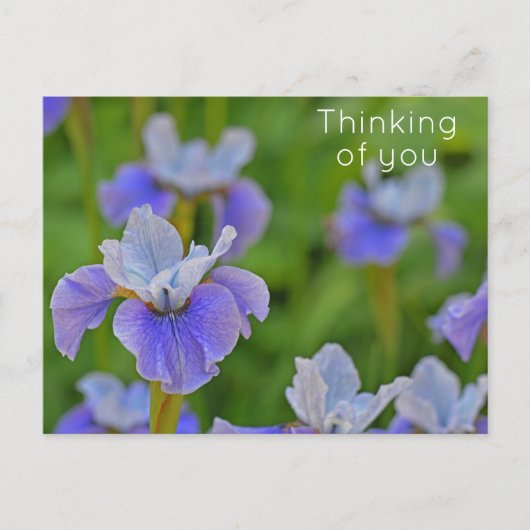 Blauwe Iris Bloem Denk aan jou Briefkaart (Voorkant)