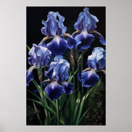 Blauwe Iris Bloem Kunstprint Poster