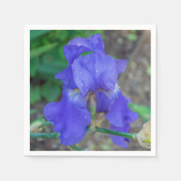 Blauwe iris bloem