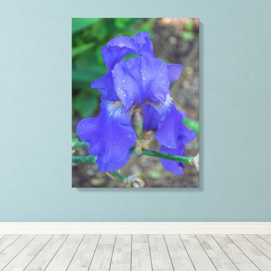 Blauwe iris bloem uitzicht canvas print (Insitu (Houten vloer))