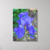 Blauwe iris bloem uitzicht canvas print (Voorkant)
