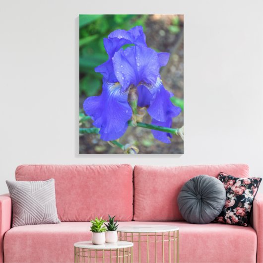 Blauwe iris bloem uitzicht canvas print (Insitu (Woonkamer))