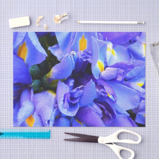 Blauwe Iris bloemen Tissuepapier (Craft)