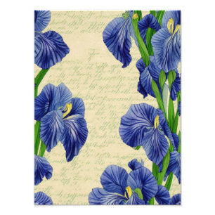Blauwe iris bloemen vintage ephemera patroon foto afdruk