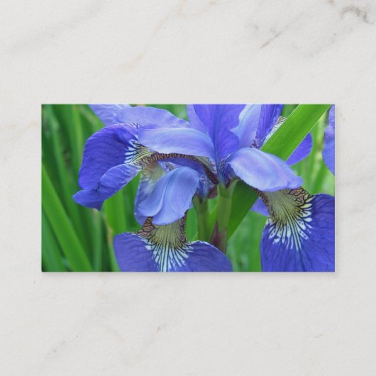 blauwe iris bloemen visitekaartje (Voorkant)