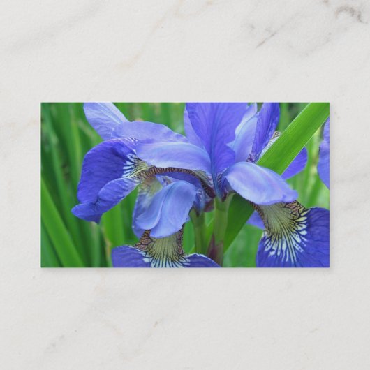 blauwe iris bloemen visitekaartje (Voorkant)