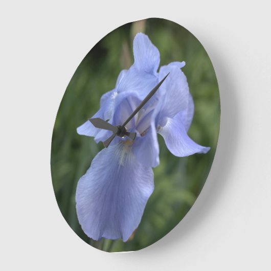  blauwe iris bloemig grote klok (Hoek)