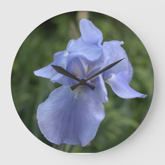 blauwe iris bloemig grote klok (Voorkant)