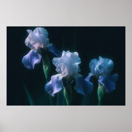 Blauwe Iris Bloemige Muurkunst Poster (Voorkant)
