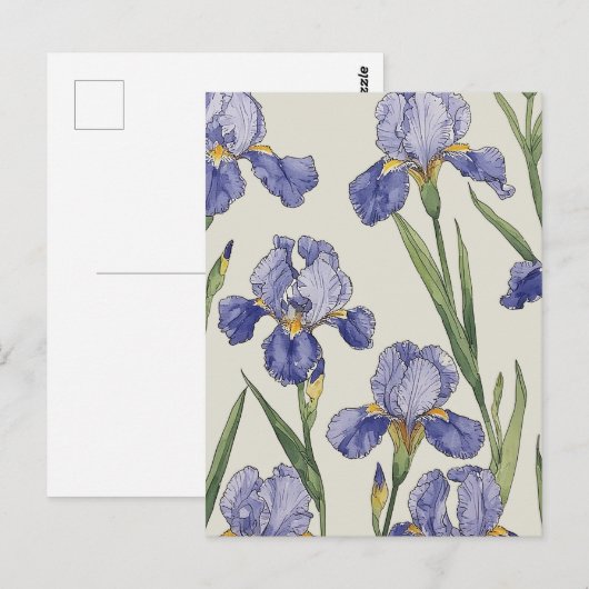 Blauwe Iris Bloesems Briefkaart (Voorkant / Achterkant)