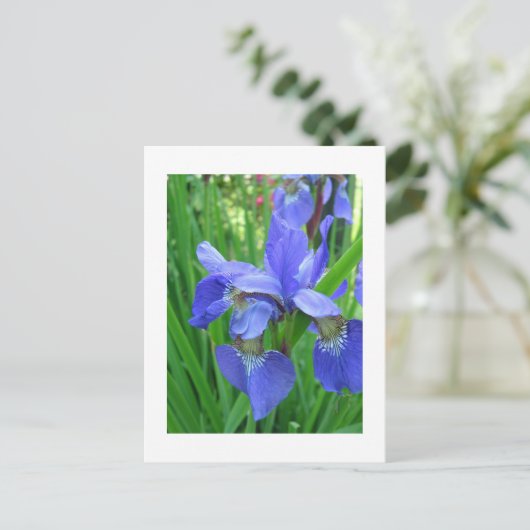 blauwe iris briefkaart (Staand voorkant)
