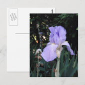 Blauwe Iris Briefkaart (Voorkant / Achterkant)