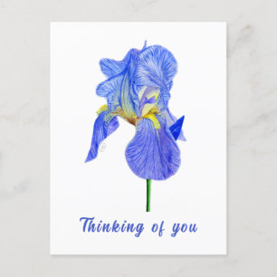 Blauwe Iris Denk Aan Jou Ansichtkaart Briefkaart