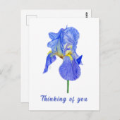 Blauwe Iris Denk Aan Jou Postkaart (Voorkant / Achterkant)