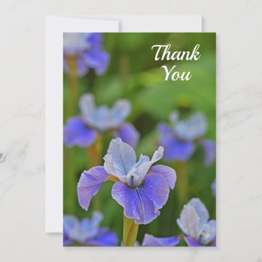 Blauwe Iris Flower Elegant Flat Bedankt Card (Voorkant)