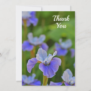 Blauwe Iris Flower Elegant Flat Bedankt Card