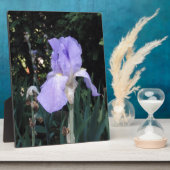 Blauwe Iris Fotoplaat (Zijkant)