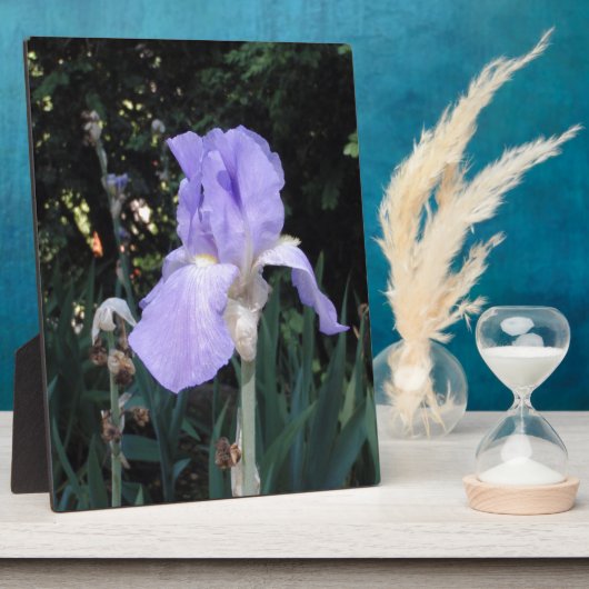 Blauwe Iris Fotoplaat (Zijkant)