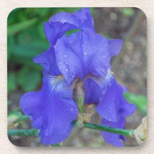 Blauwe iris harde plastic onderzetters