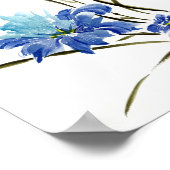 Blauwe Iris Harmonie Poster (Hoek)