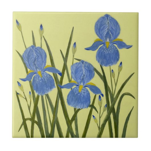 Blauwe Iris Keramische Tegels Tegeltje (Voorkant)