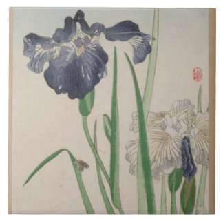 Blauwe Iris-keramische tegels Tegeltje