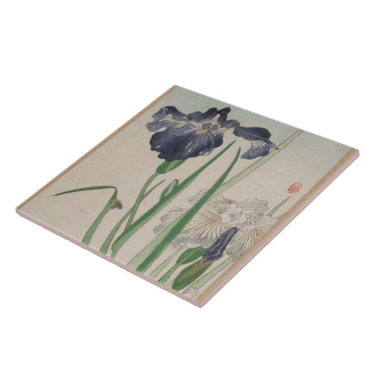 Blauwe Iris-keramische tegels Tegeltje (Zijkant)