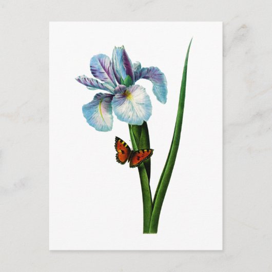 Blauwe iris met vlinder van Redoute Briefkaart (Voorkant)