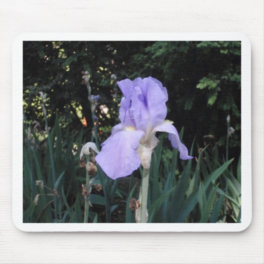 Blauwe Iris Muismat (Voorkant)