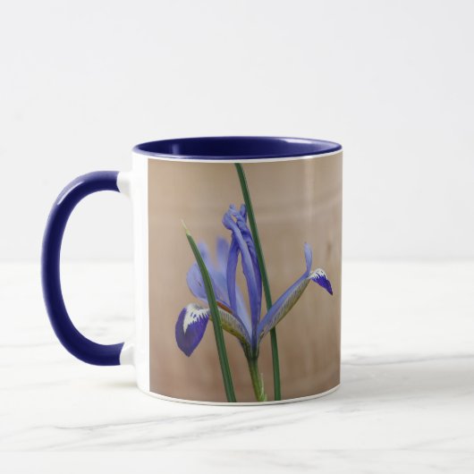 Blauwe iris reticulata Mok (Links)