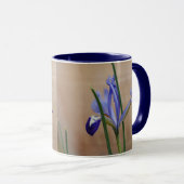 Blauwe iris reticulata Mok (Voorkant rechts)