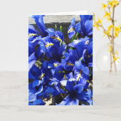 Blauwe iris reticulata (netvormige iris) kaart (Gele Bloem)
