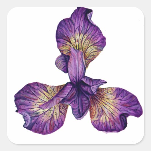 Blauwe Iris Siberica Bloem Vierkante Sticker (Voorkant)