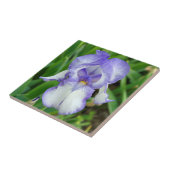 Blauwe iris tegeltje (Zijkant)