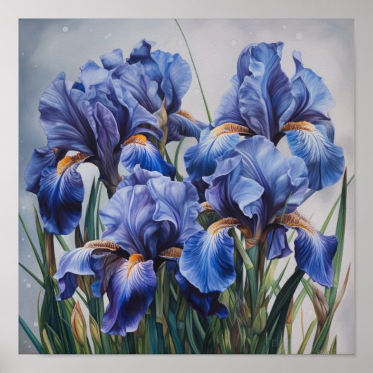 Blauwe Irissen Bloem Kunstprint Poster (Voorkant)