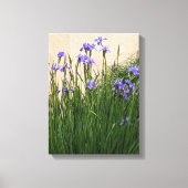  Blauwe Irissen Bloemen Canvas Afdruk (Voorkant)
