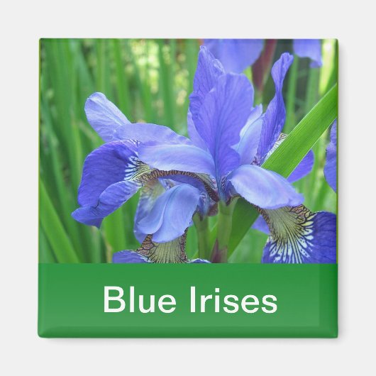 blauwe irissen en groene bladeren magneet (Voorkant)