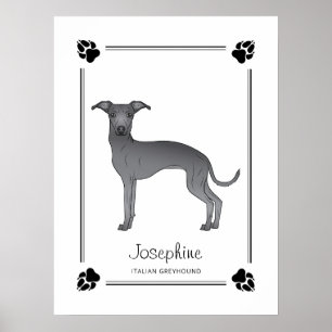 Blauwe Italiaanse Greyhound Met Pootjes En Aangepa Poster