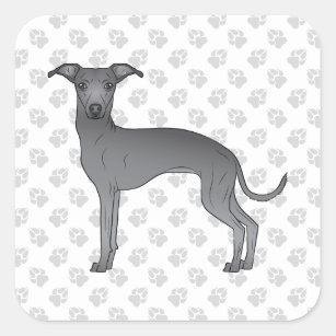 Blauwe, Italiaanse griezelige cartoon van een hond Vierkante Sticker