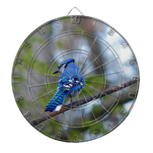 Blauwe Jay Dartbord