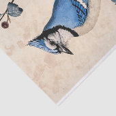 Blauwe Jay Illustratie Decoupage Tissuepapier (Detail)