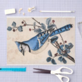 Blauwe Jay Illustratie Decoupage Tissuepapier (Craft)