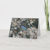  Blauwe Jay in Herfst Art Note Kaart (Voorkant)